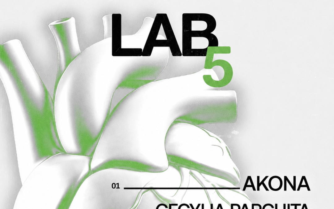 DISTRICT LAB.5